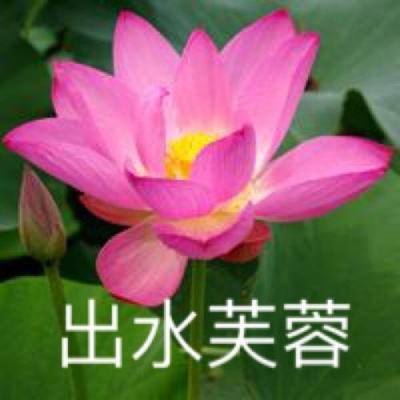 破剑星辰官方手游